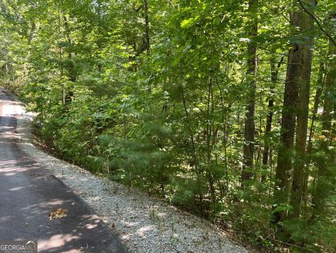 Lot 7 Forest Canopy Way Clayton GA 30525