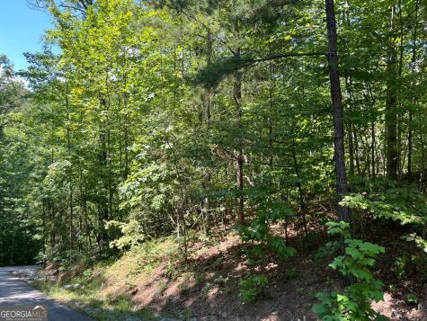 Lot 7 Forest Canopy Way Clayton GA 30525