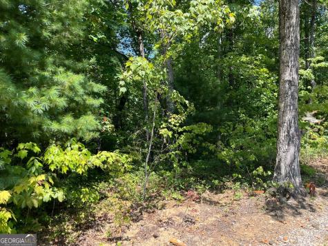 Lot 7 Forest Canopy Way Clayton GA 30525