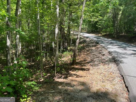 Lot 7 Forest Canopy Way Clayton GA 30525
