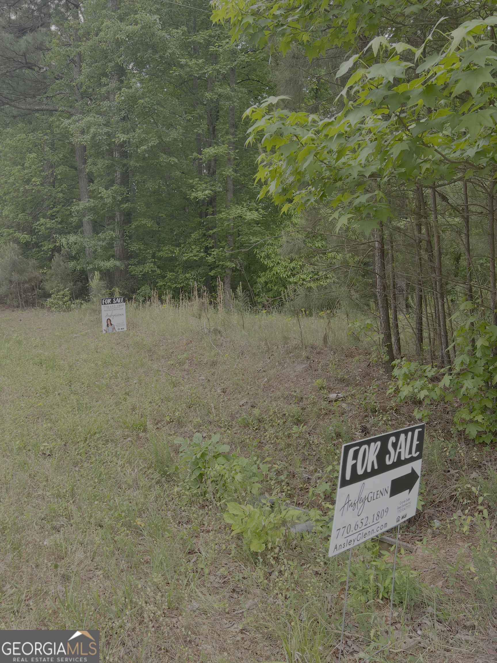 1585 N Ola Road Mcdonough GA 30252