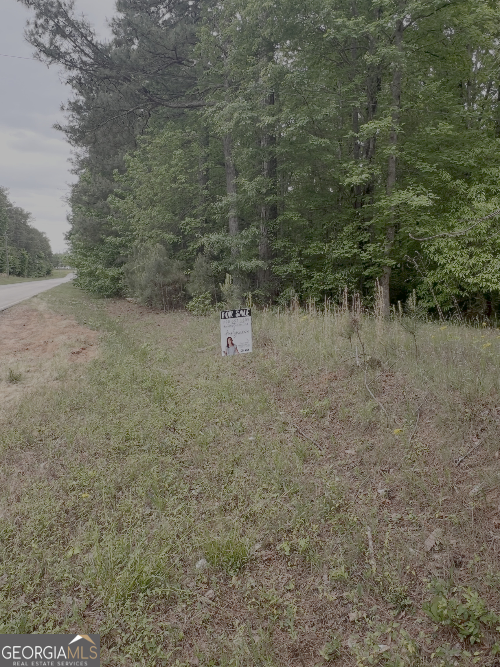 1585 N Ola Road Mcdonough GA 30252