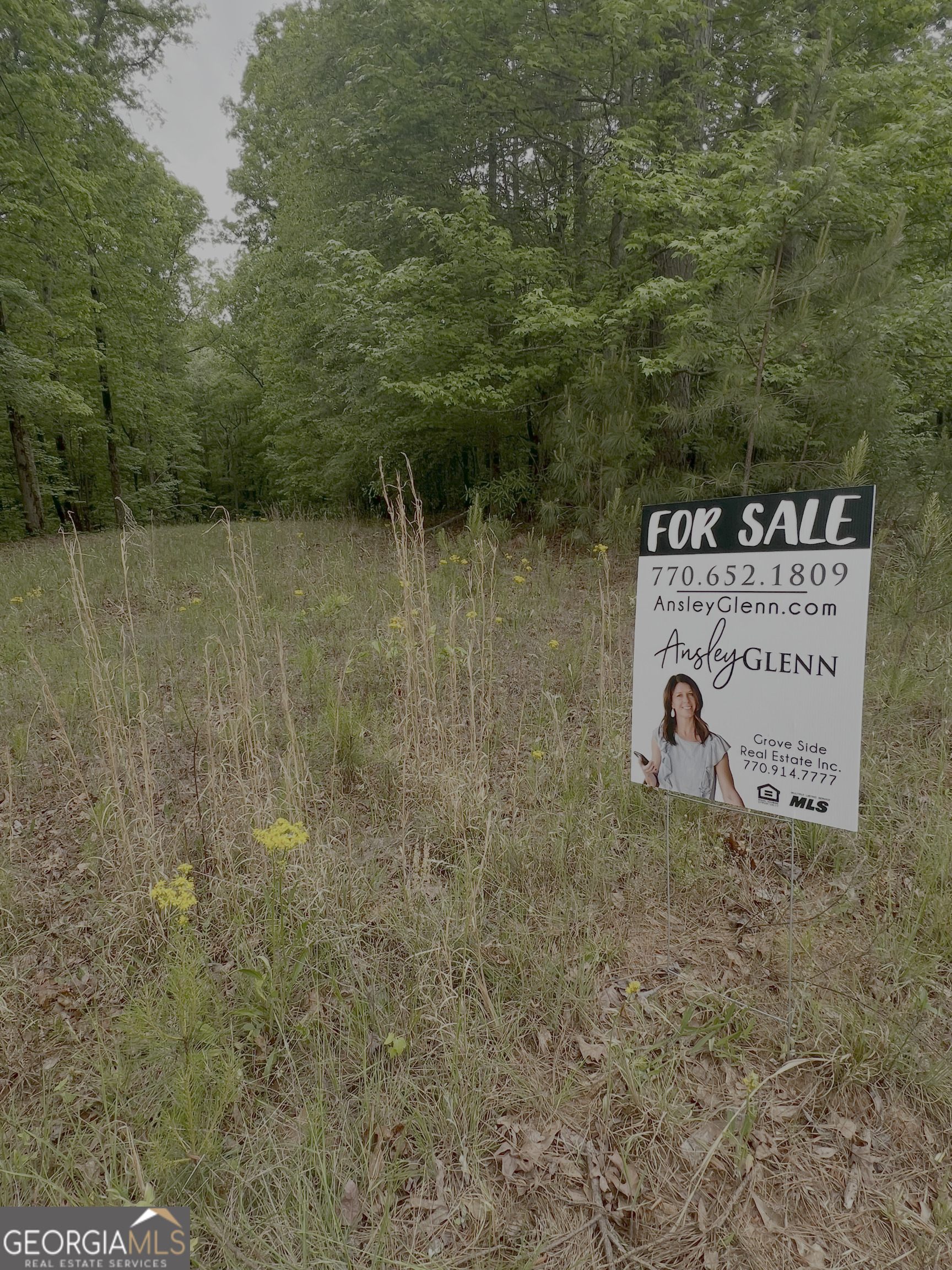 1585 N Ola Road Mcdonough GA 30252