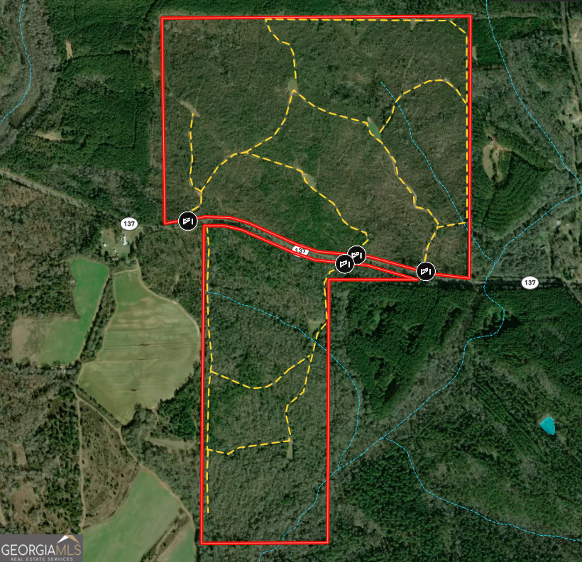 337+/- Ac Highway 137 Buena Vista GA 31803
