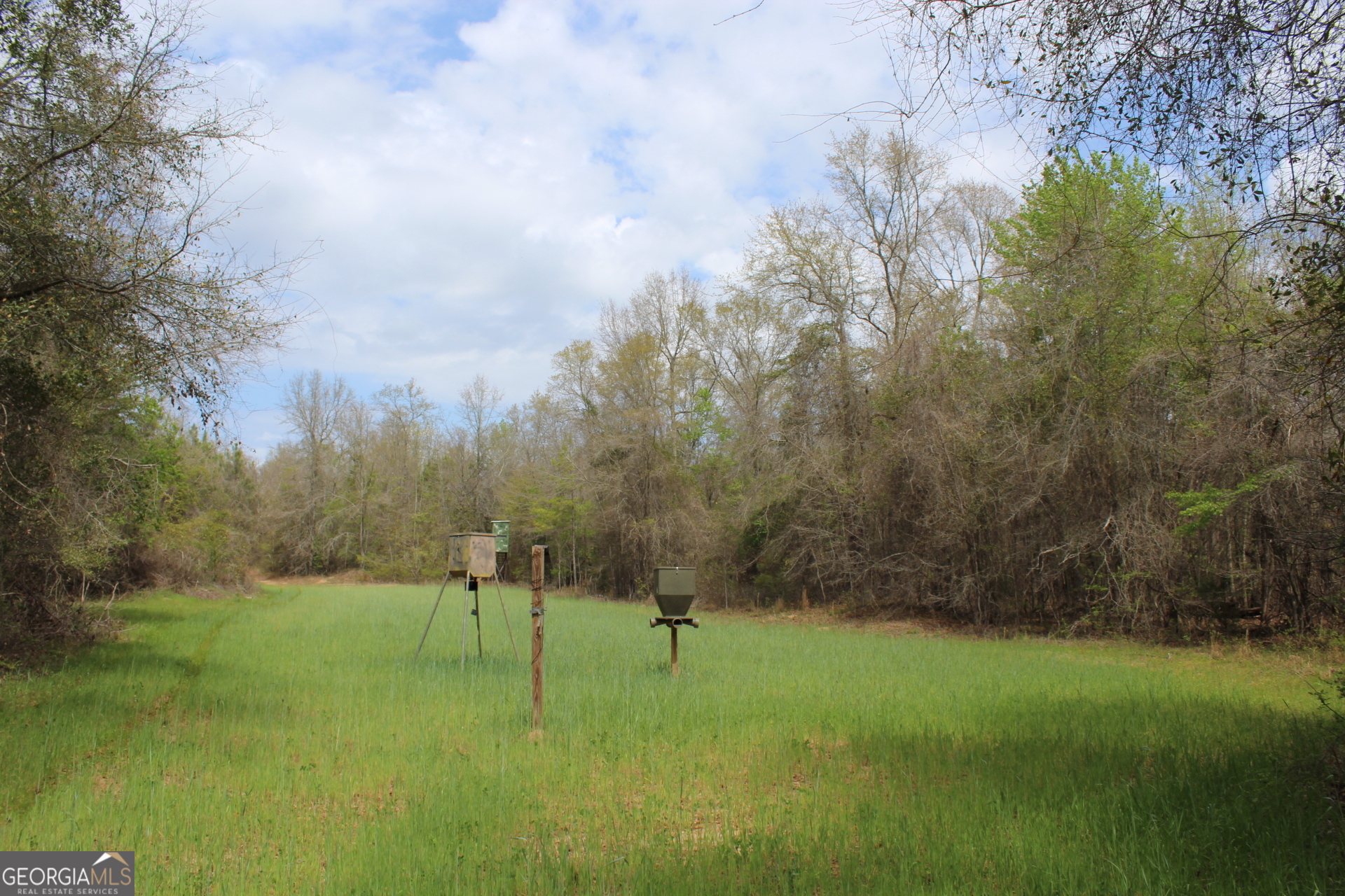 337+/- Ac Highway 137 Buena Vista GA 31803