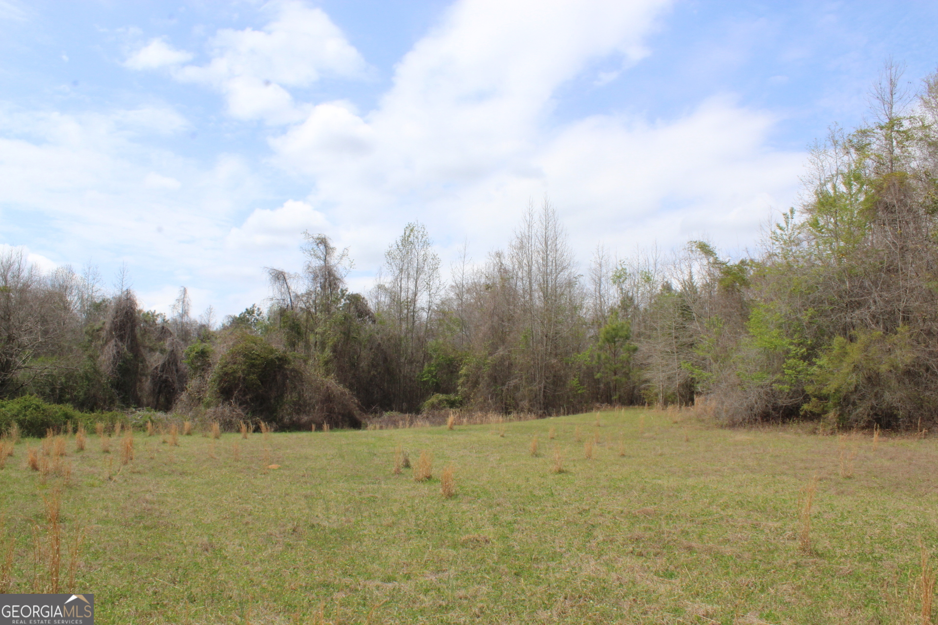 337+/- Ac Highway 137 Buena Vista GA 31803