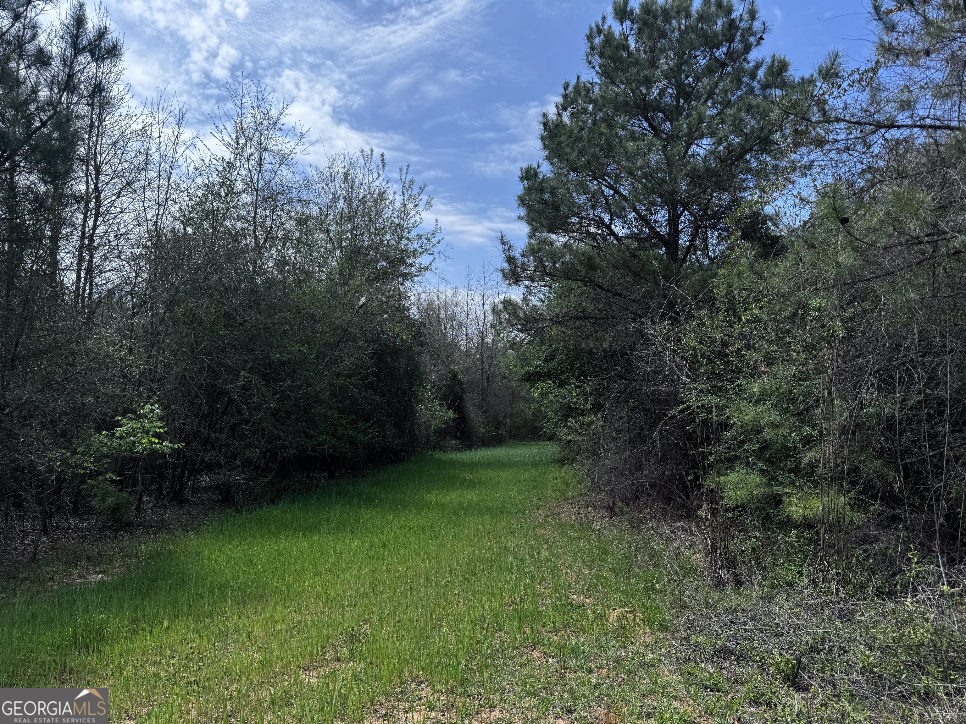 337+/- Ac Highway 137 Buena Vista GA 31803