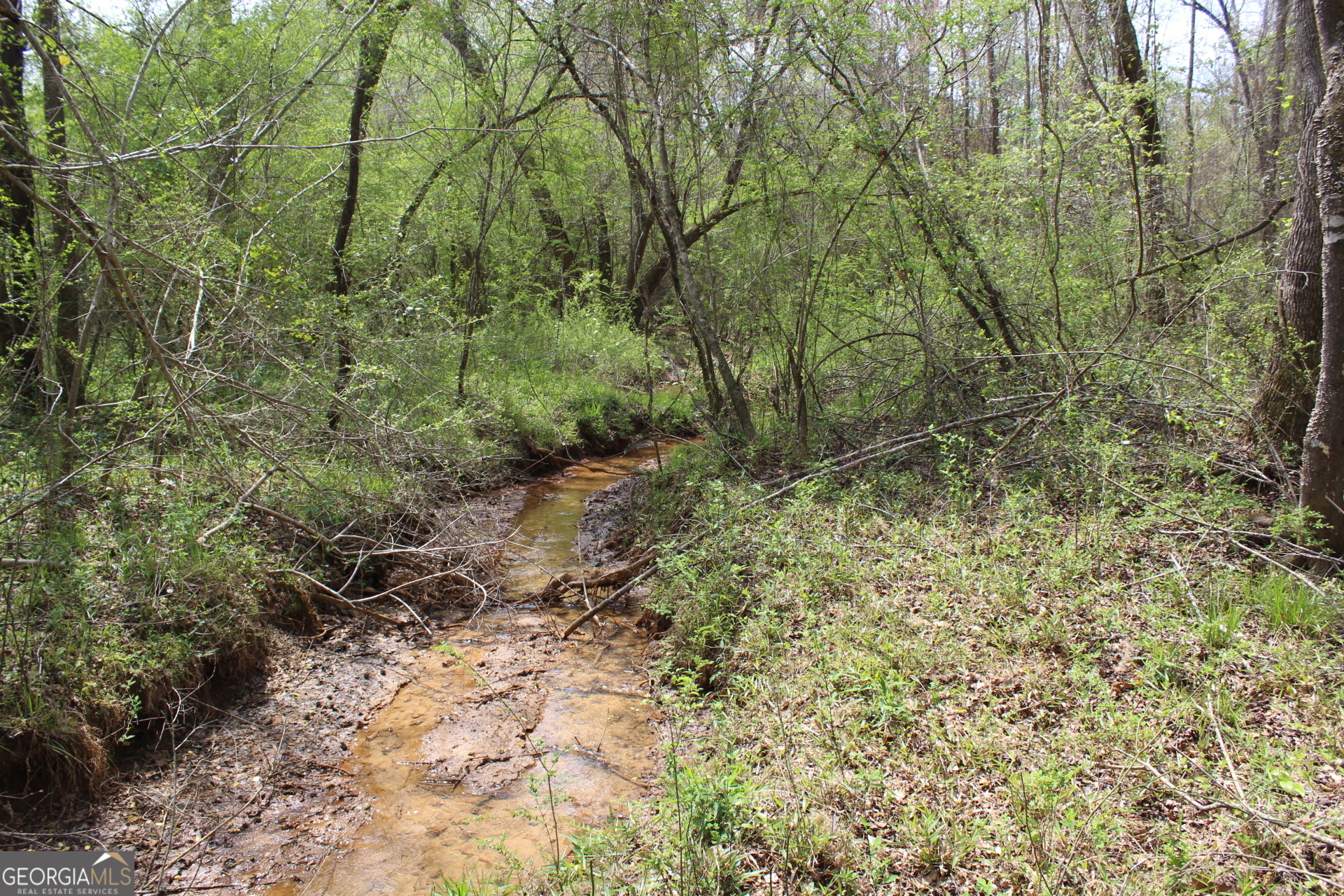 337+/- Ac Highway 137 Buena Vista GA 31803