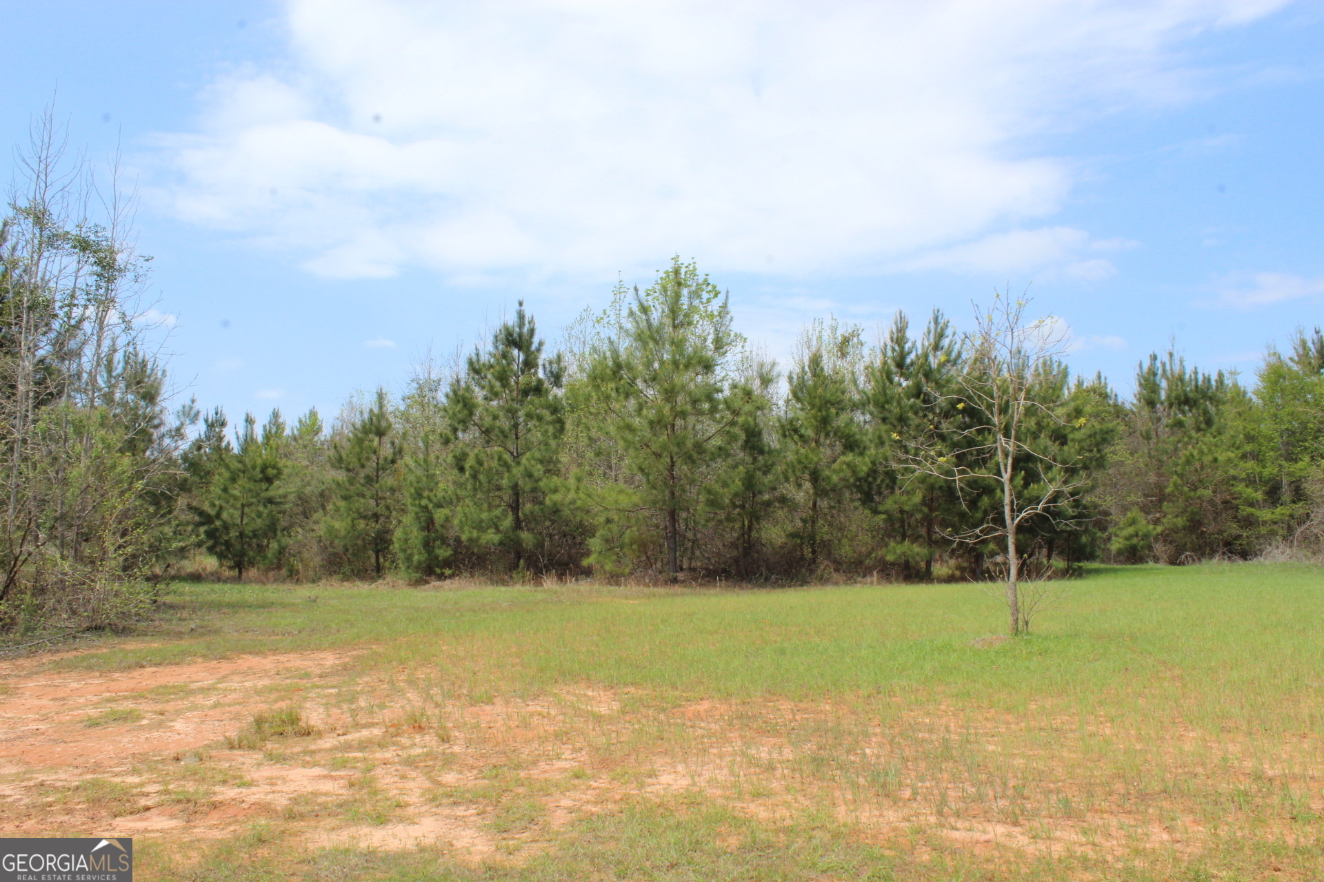 337+/- Ac Highway 137 Buena Vista GA 31803