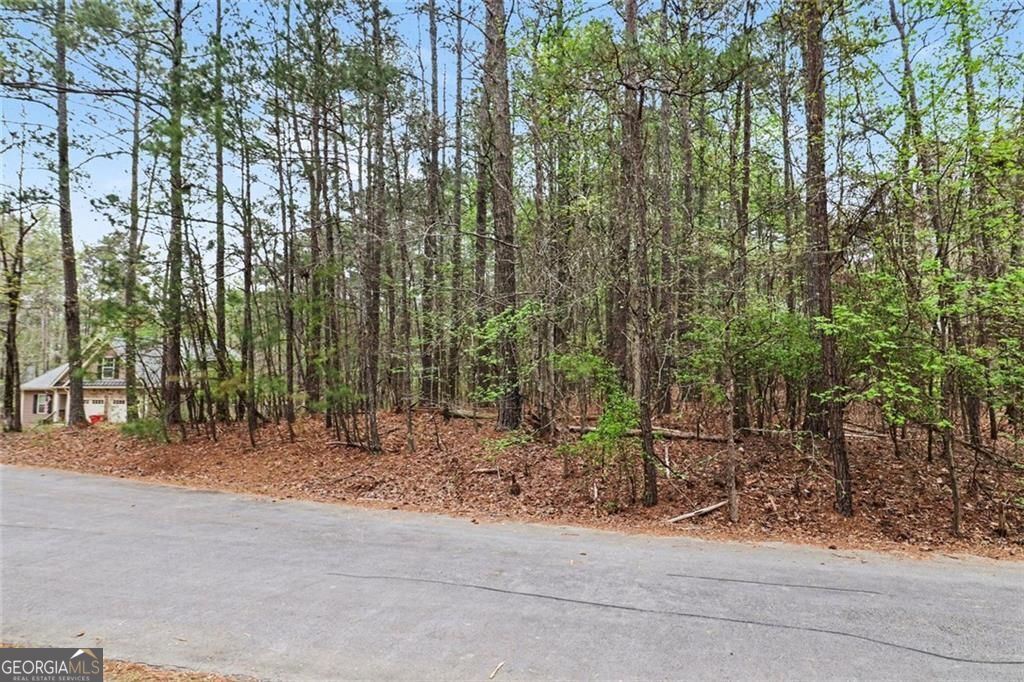 3115 Fairmond Court Villa Rica GA 30180