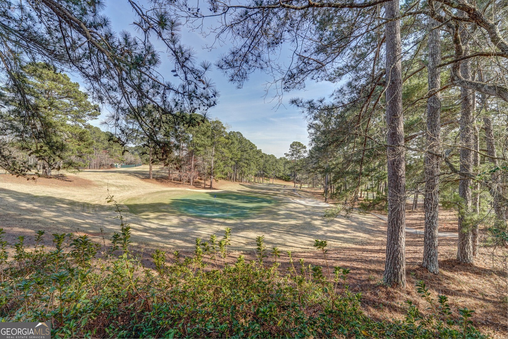 0 Thrusher Court Monticello GA 31064