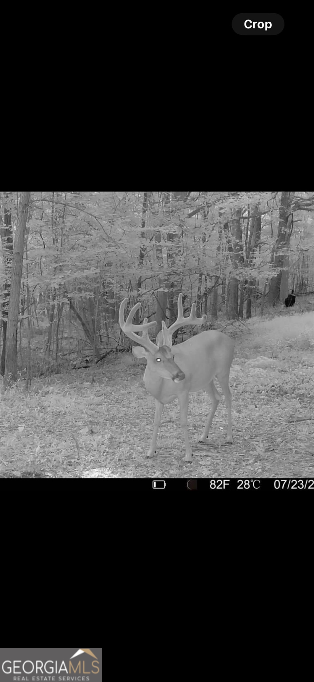 0 Creekview Drive Madison GA 30650