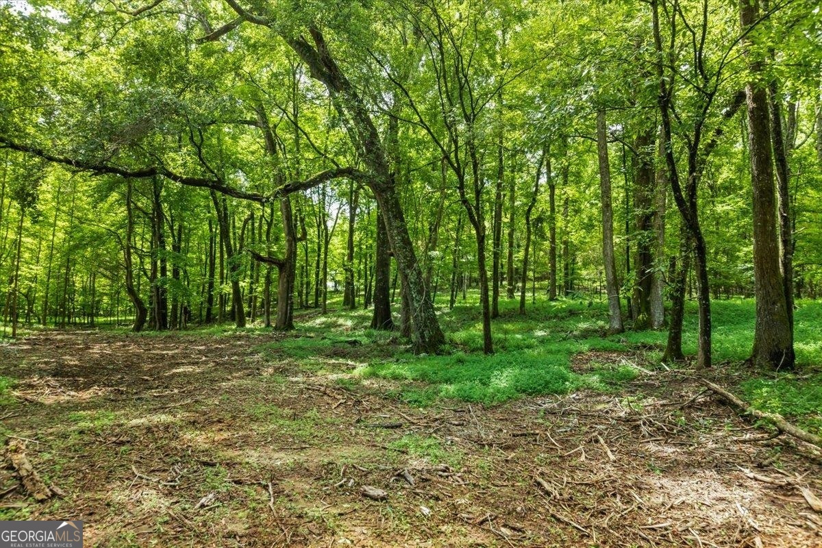 0 Creekview Drive Madison GA 30650