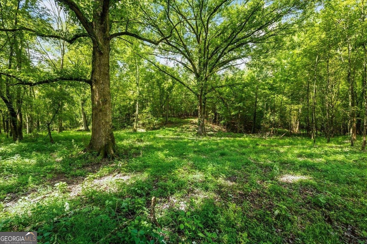 0 Creekview Drive Madison GA 30650