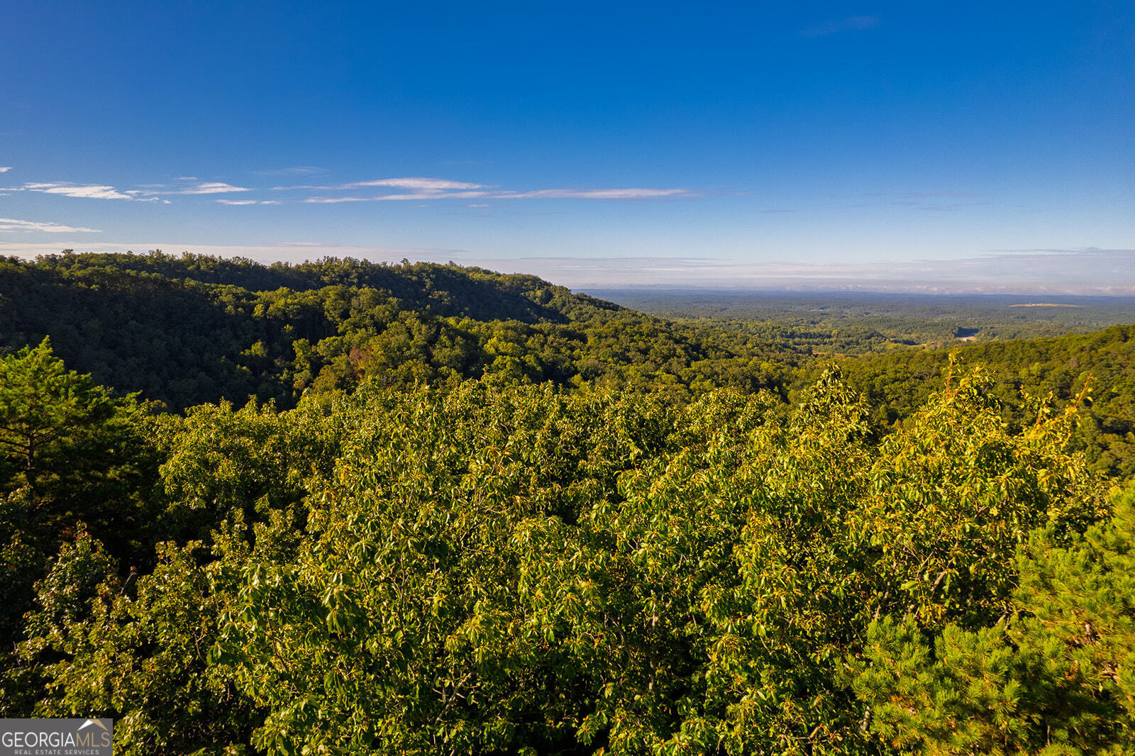 248 Stirratt Road Ranger GA 30734