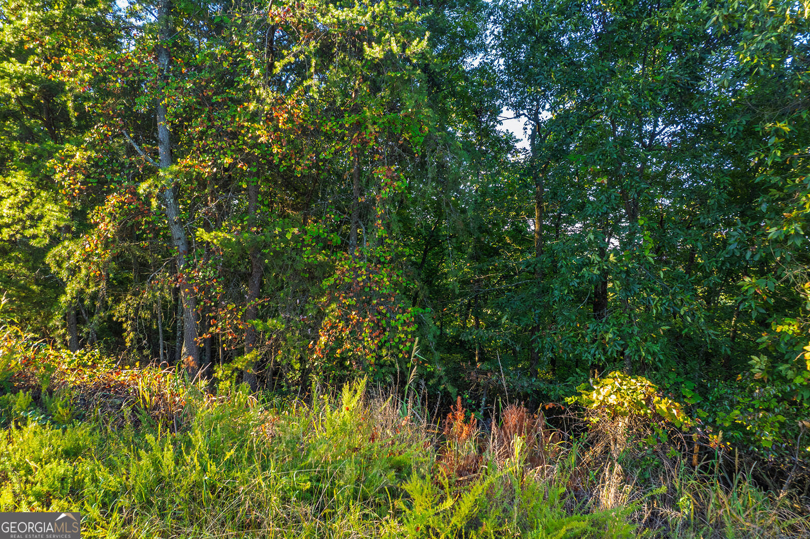 248 Stirratt Road Ranger GA 30734