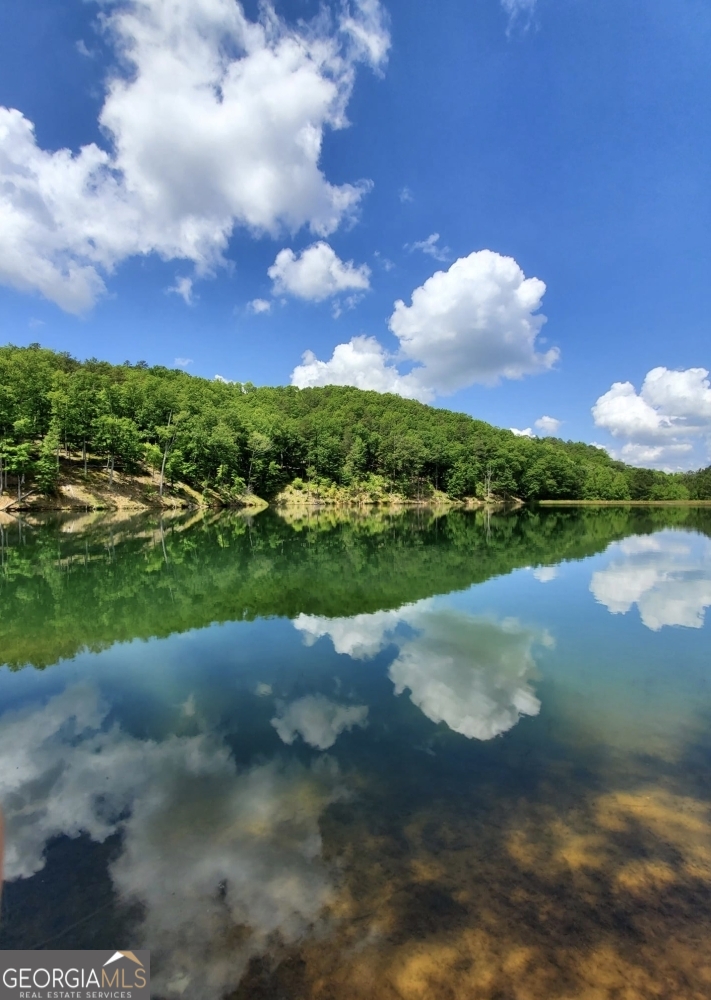 248 Stirratt Road Ranger GA 30734