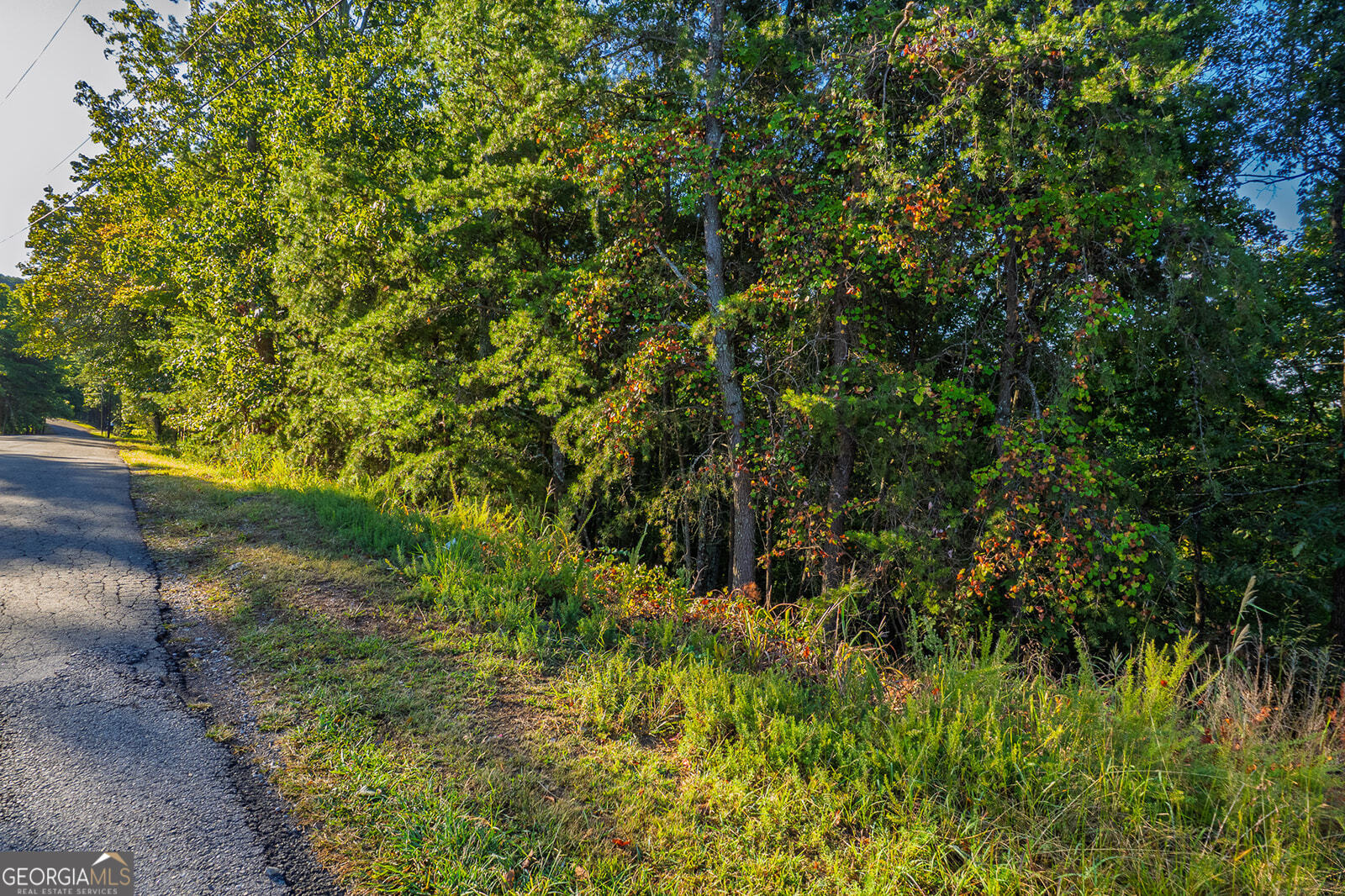 248 Stirratt Road Ranger GA 30734