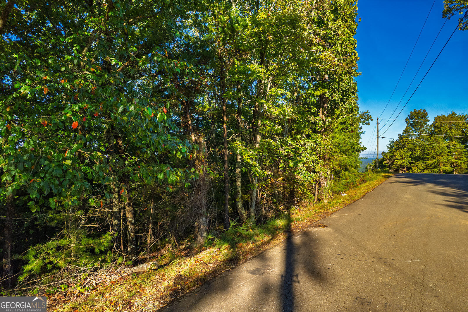 248 Stirratt Road Ranger GA 30734