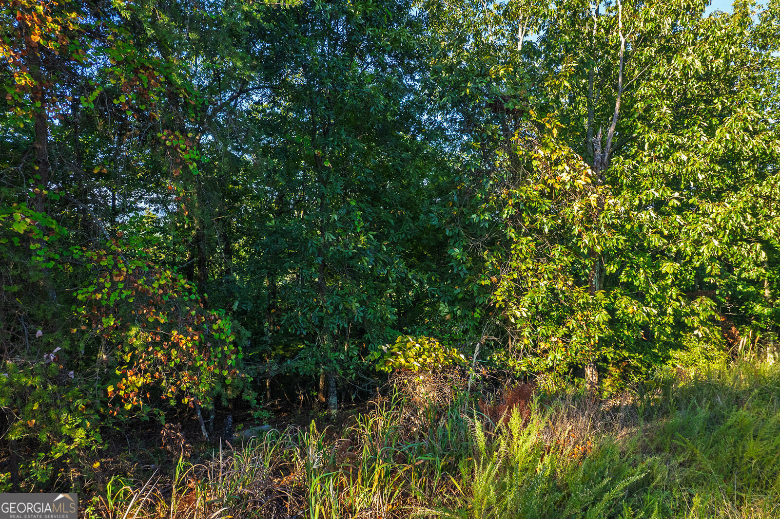 248 Stirratt Road Ranger GA 30734