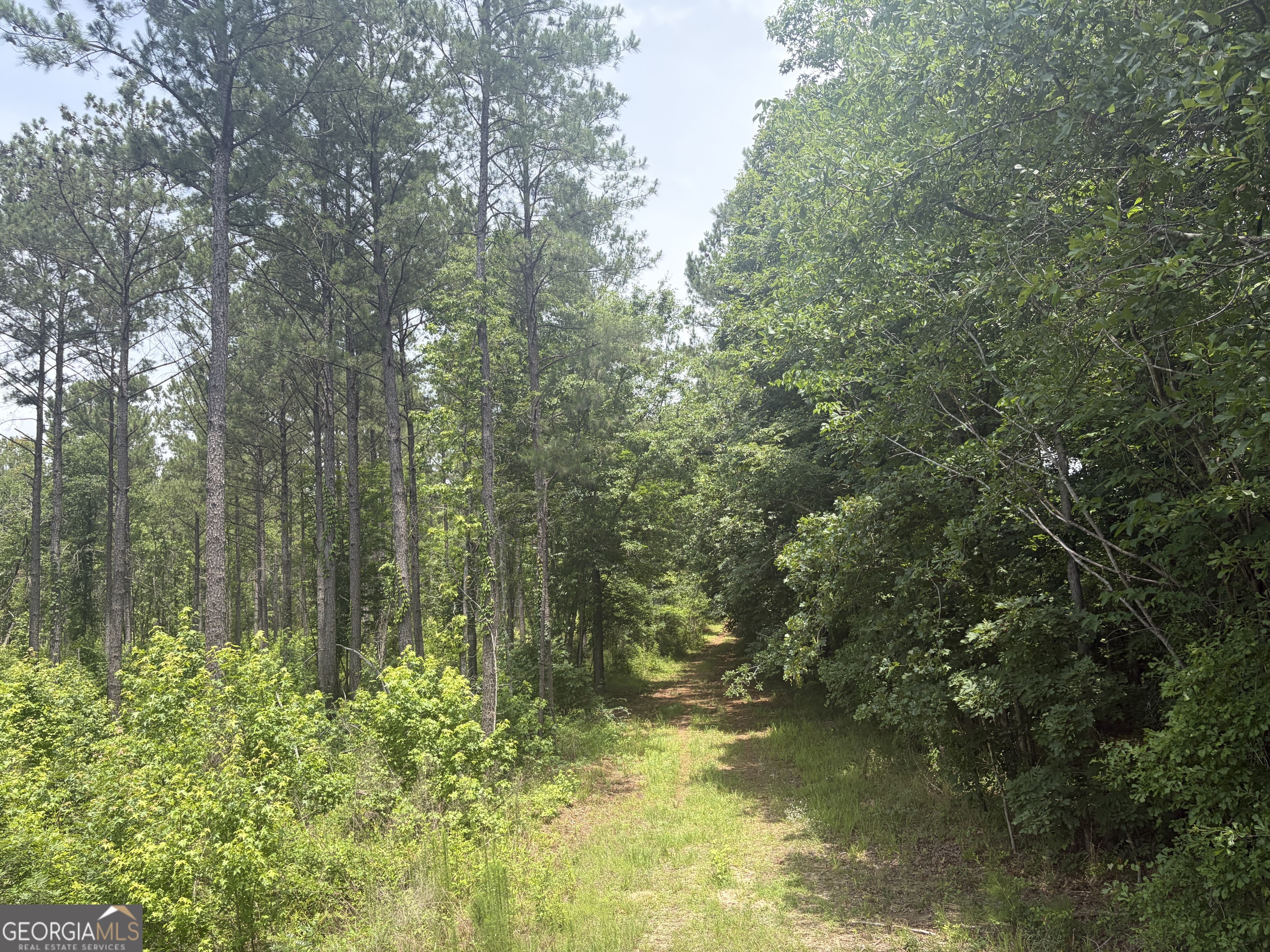 2 Sunhill Grange Road Davisboro GA 31018