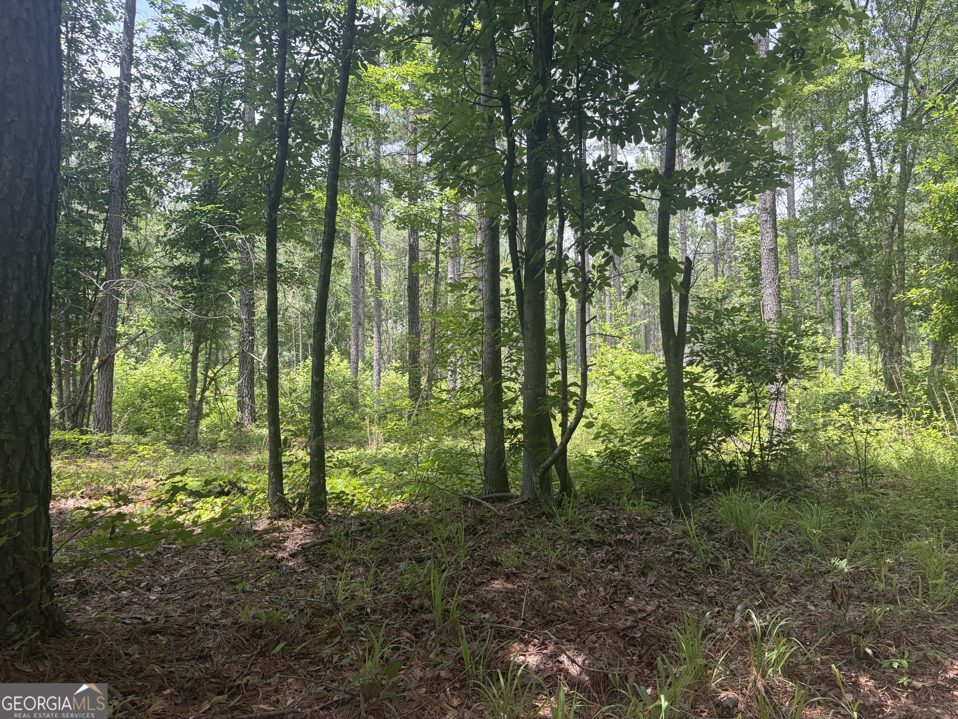 2 Sunhill Grange Road Davisboro GA 31018