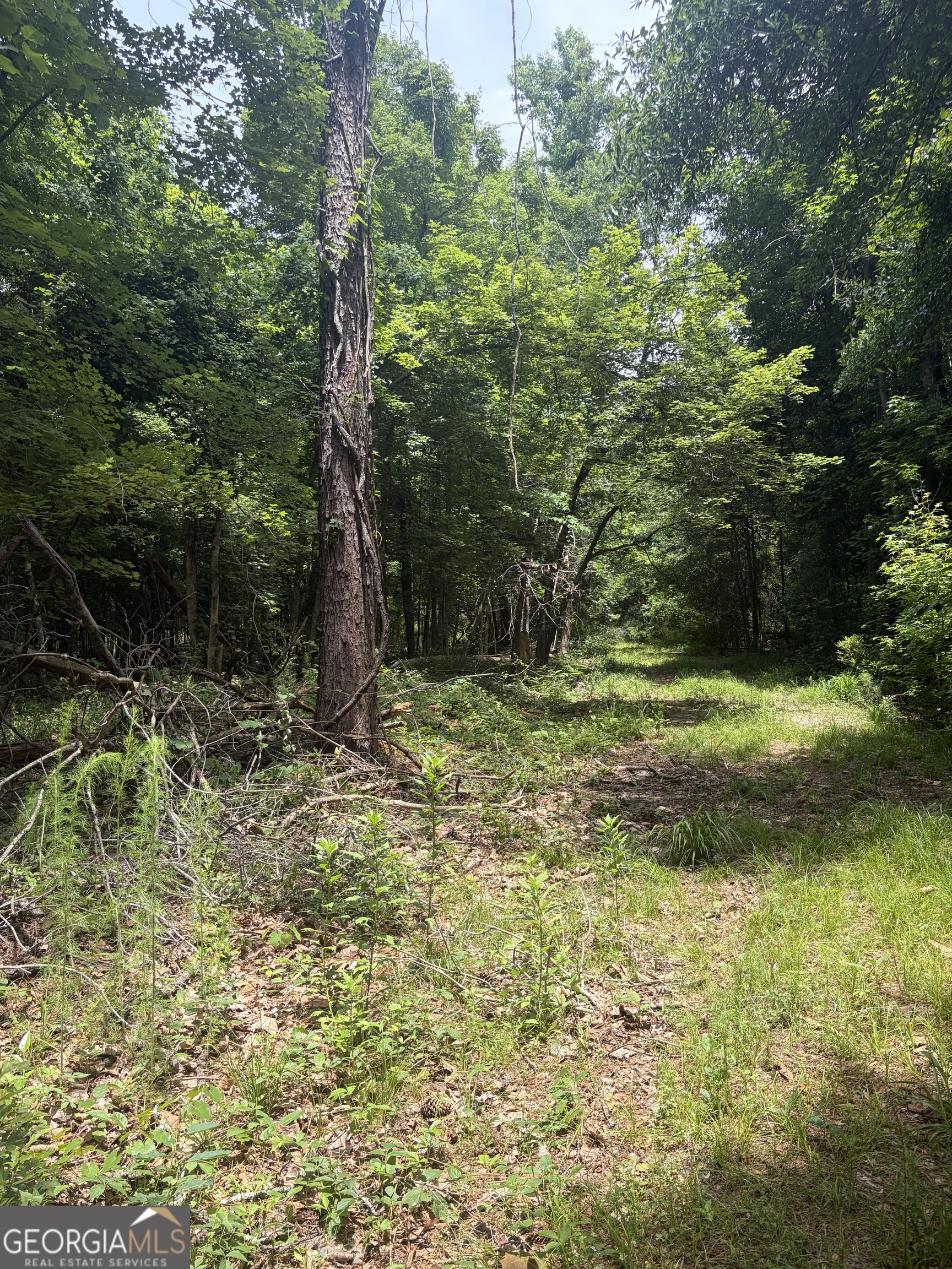 2 Sunhill Grange Road Davisboro GA 31018