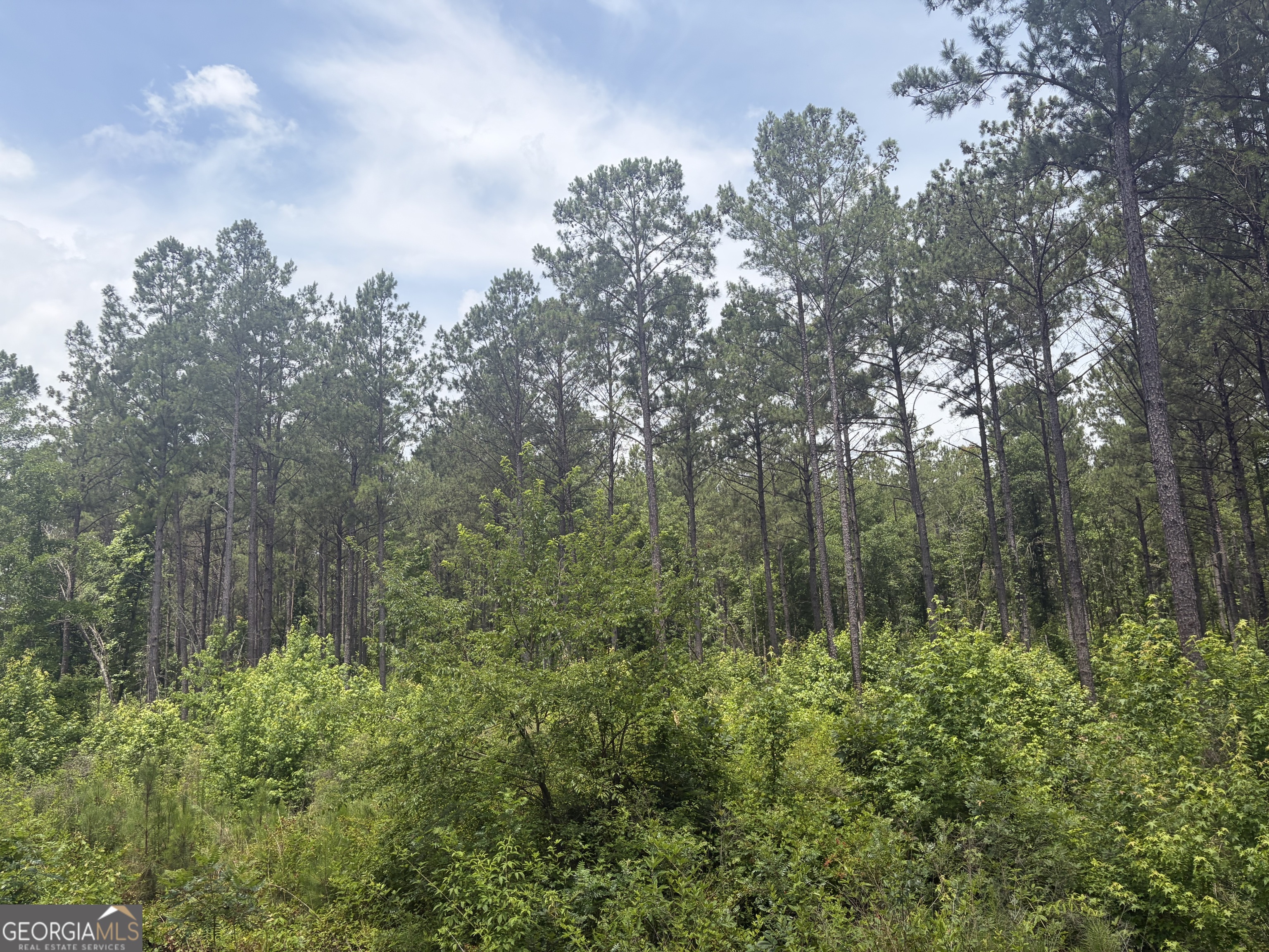 2 Sunhill Grange Road Davisboro GA 31018