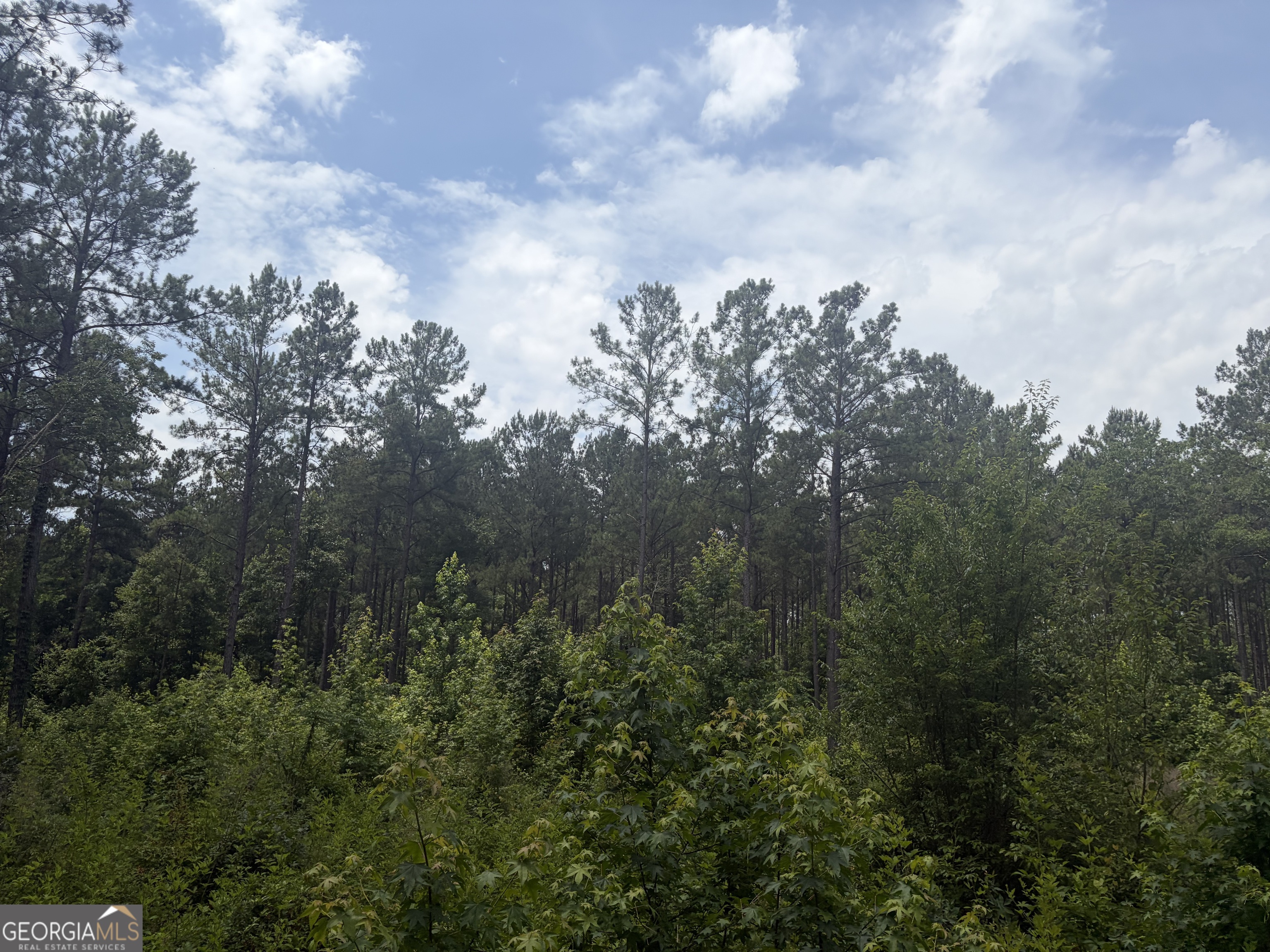 2 Sunhill Grange Road Davisboro GA 31018