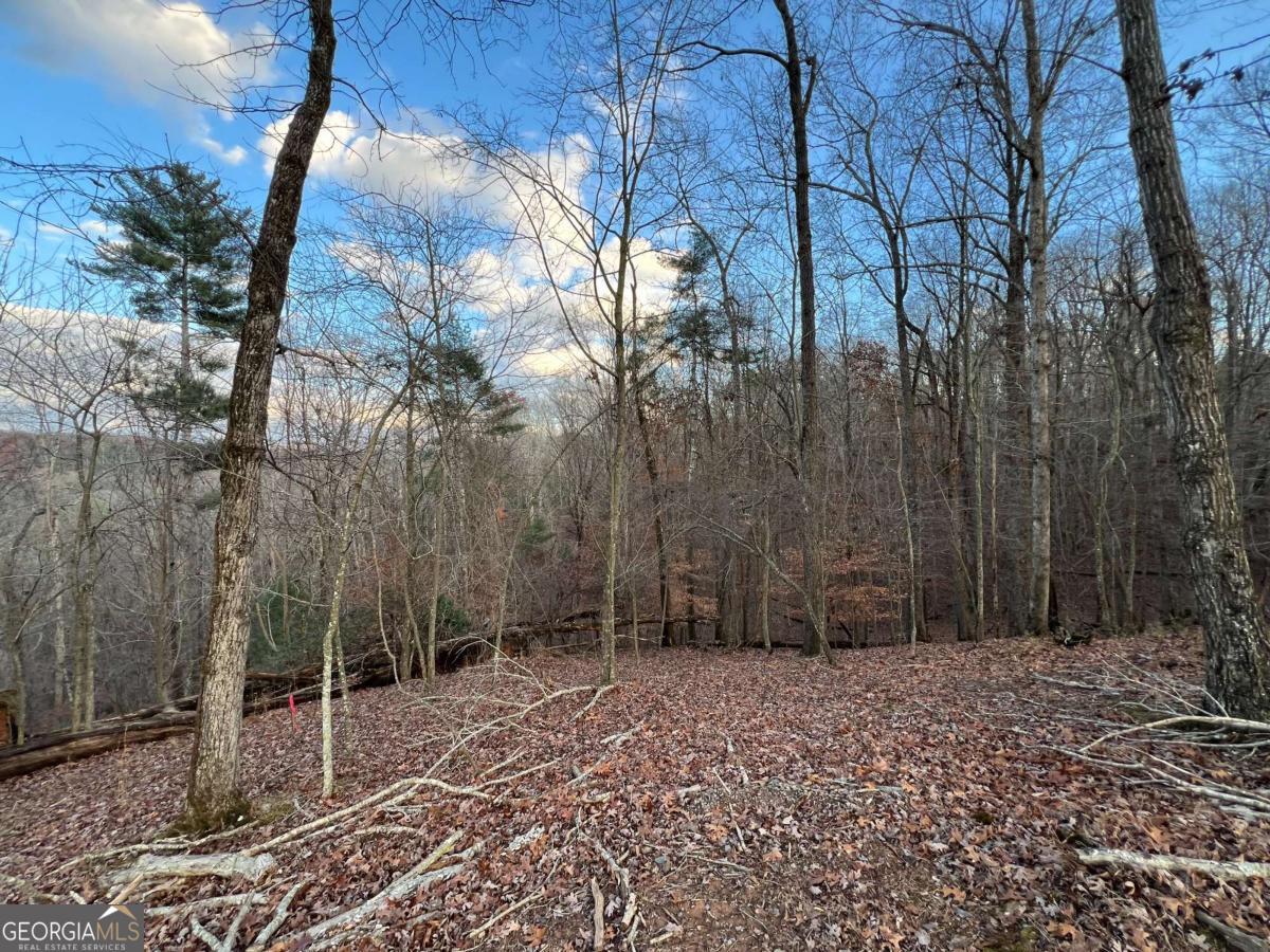 Lot 403 Crown Court Ellijay GA 30540