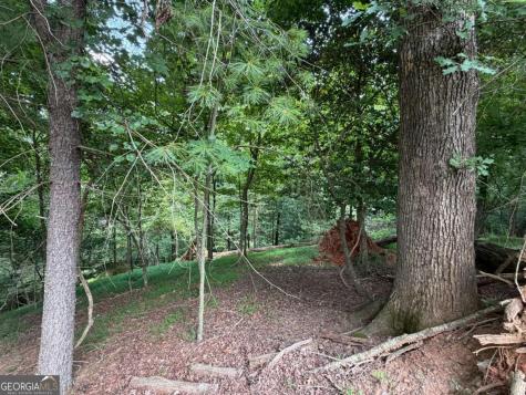 Lot 403 Crown Court Ellijay GA 30540