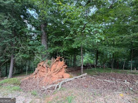 Lot 403 Crown Court Ellijay GA 30540