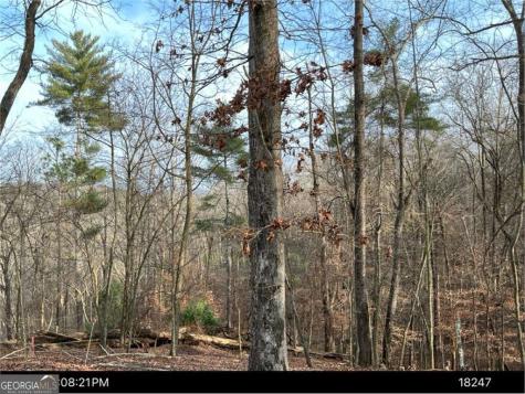 Lot 403 Crown Court Ellijay GA 30540