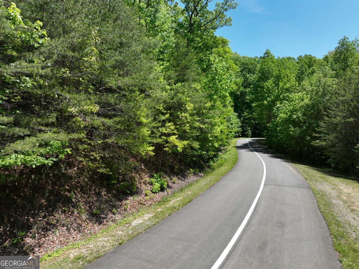 59 St Andrews Way Ellijay GA 30536