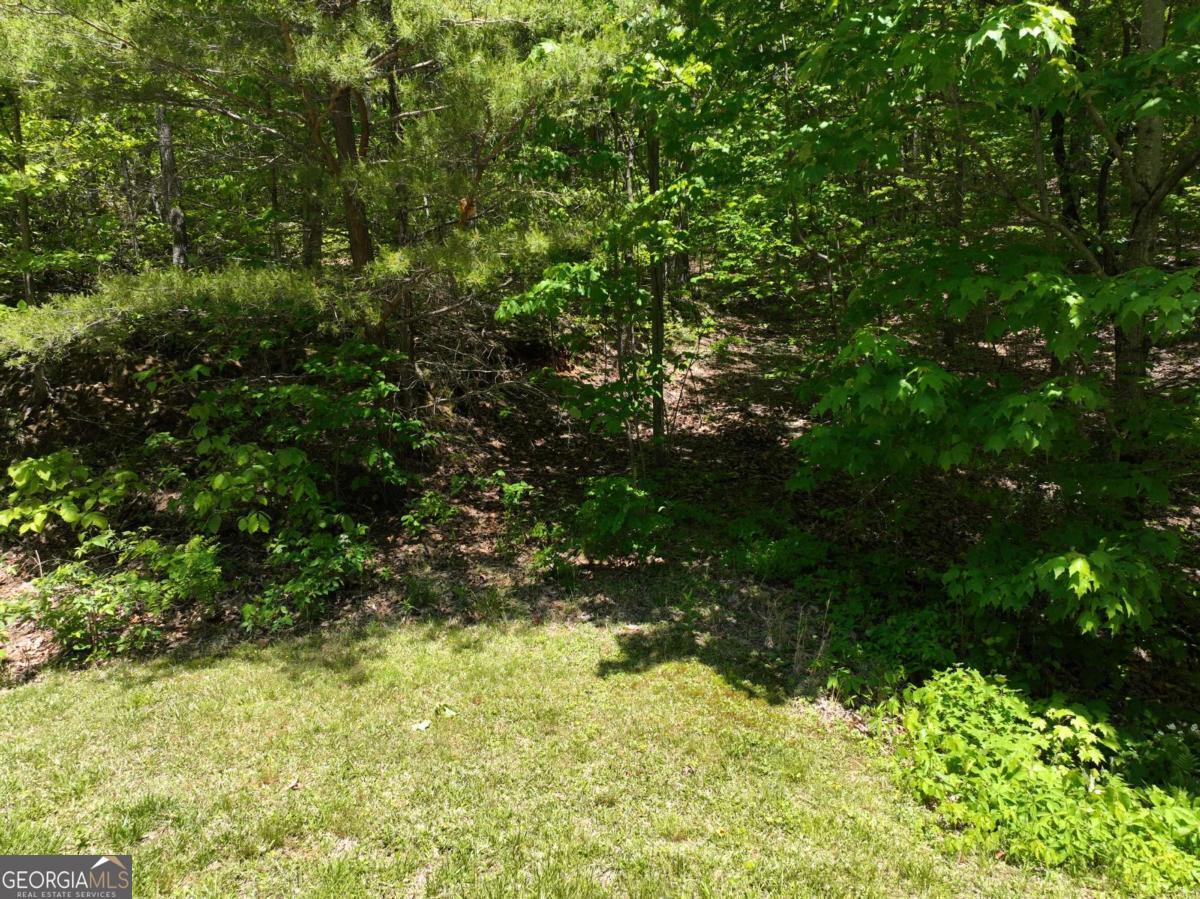 59 St Andrews Way Ellijay GA 30536