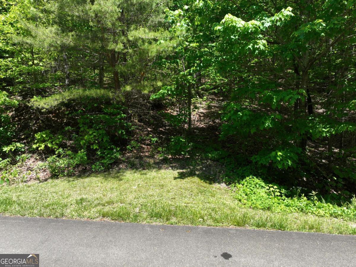 59 St Andrews Way Ellijay GA 30536
