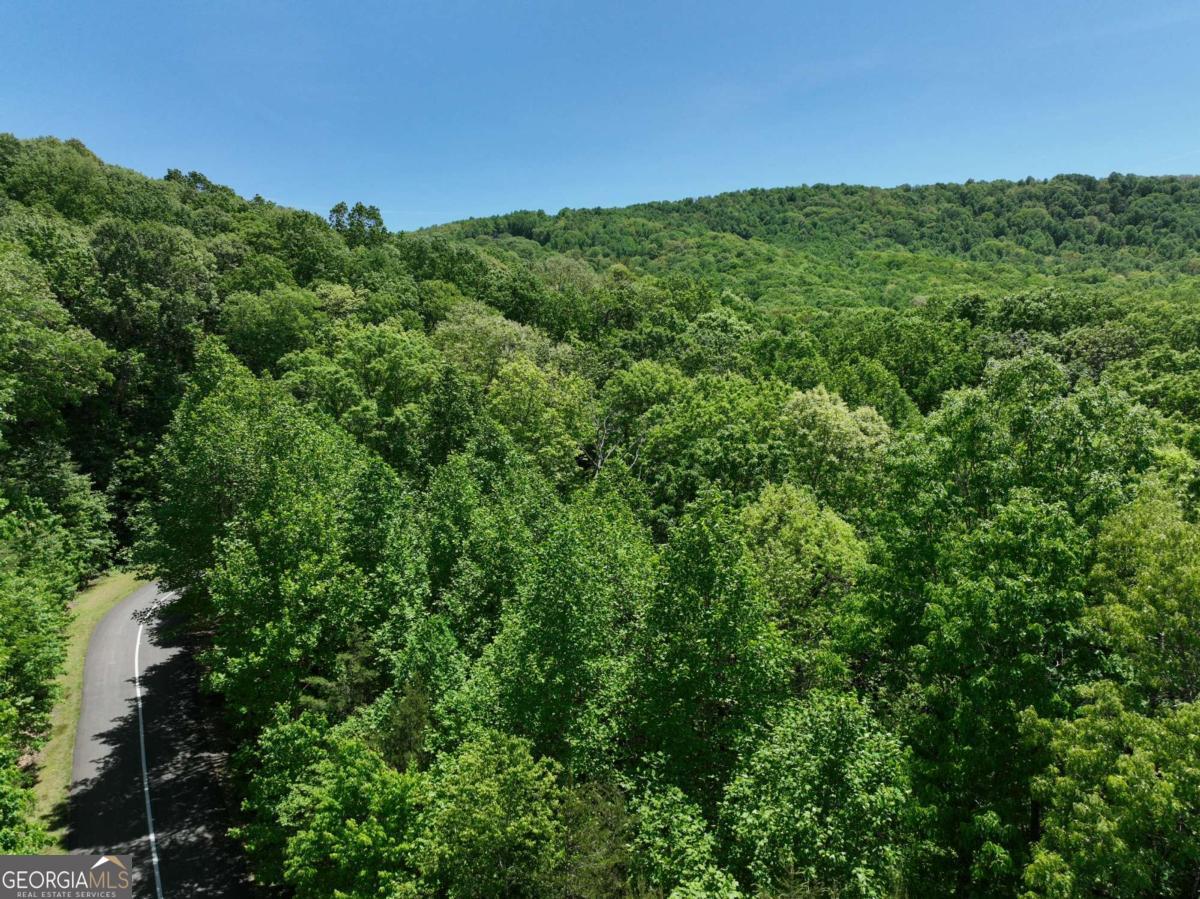 59 St Andrews Way Ellijay GA 30536