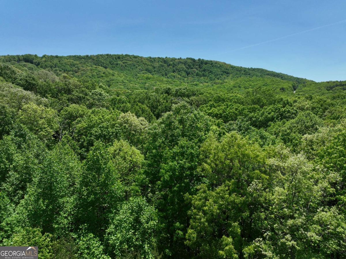 59 St Andrews Way Ellijay GA 30536