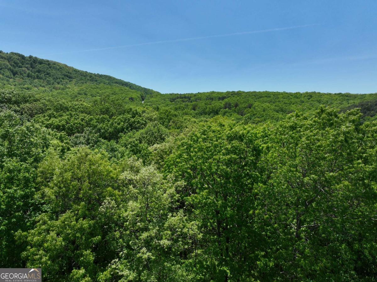 59 St Andrews Way Ellijay GA 30536