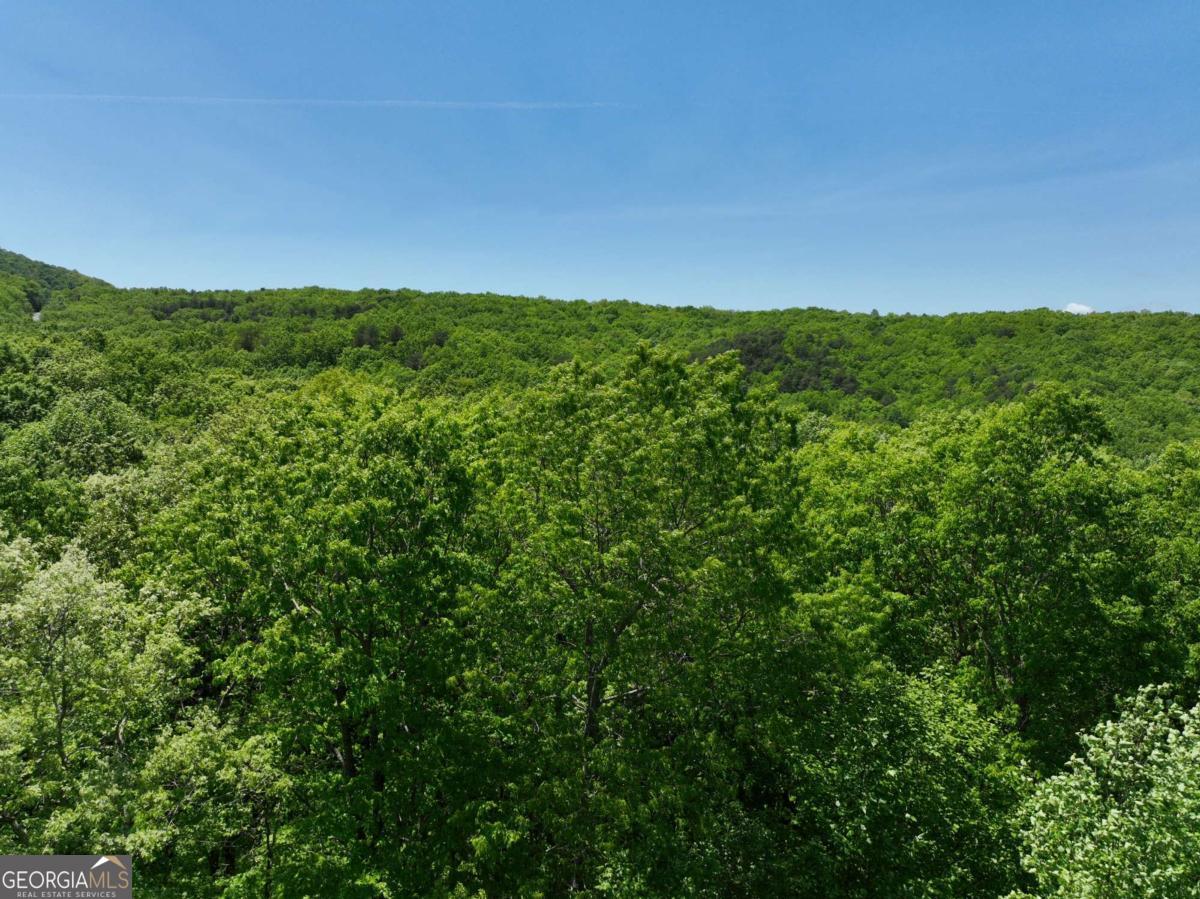 59 St Andrews Way Ellijay GA 30536