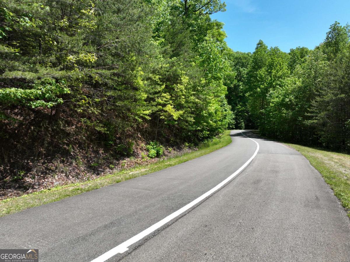 59 St Andrews Way Ellijay GA 30536