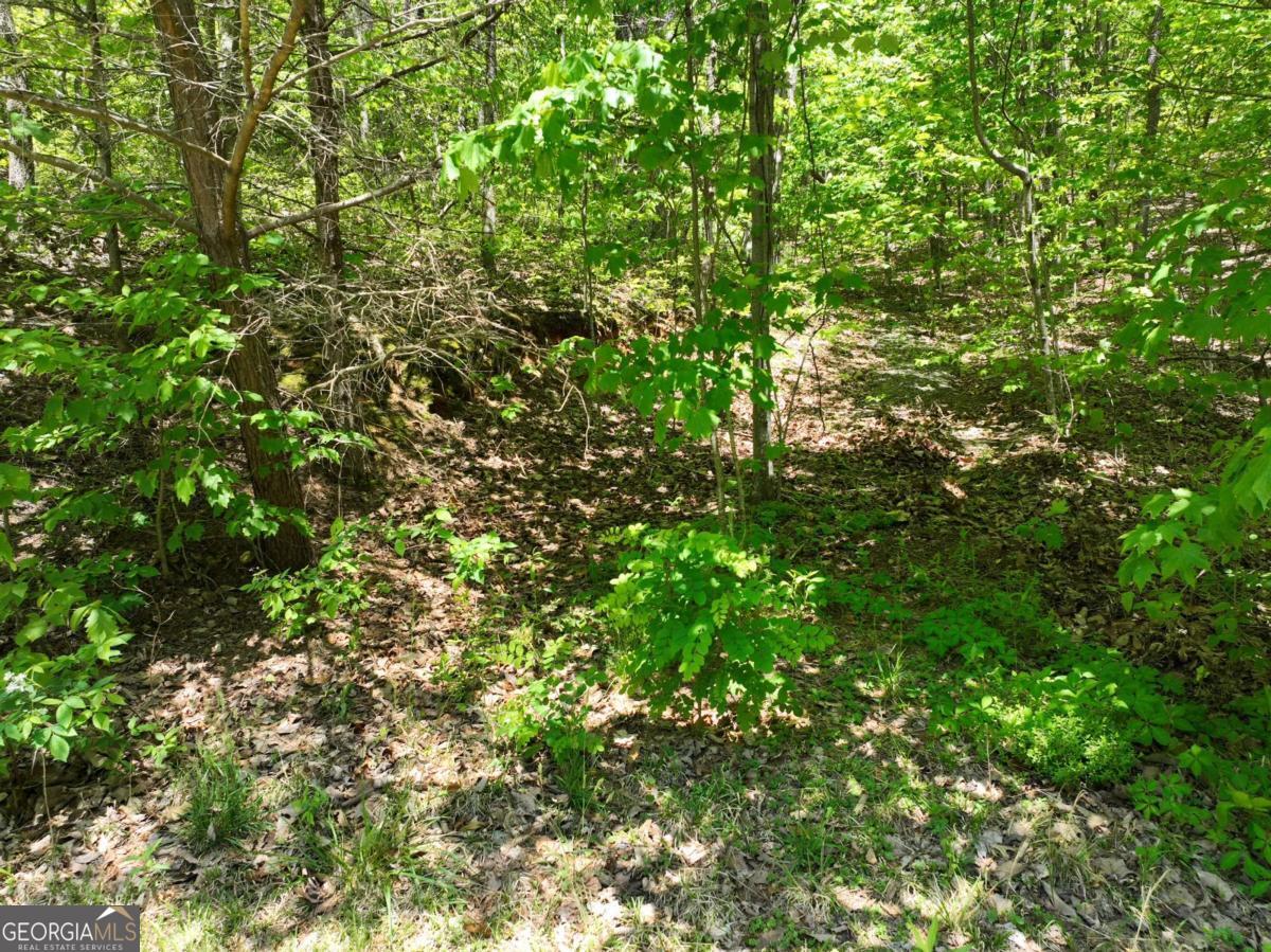 59 St Andrews Way Ellijay GA 30536
