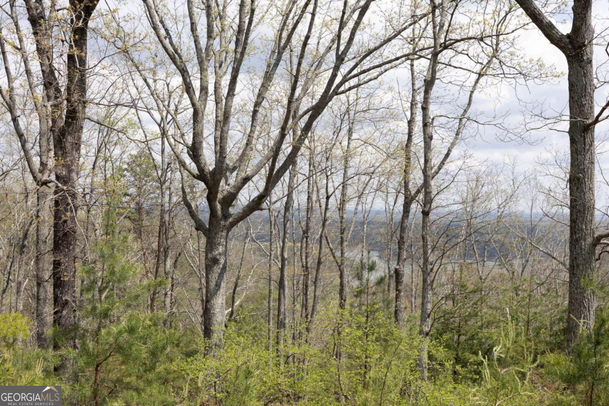 12 Signal Mountain Circle Cartersville GA 30121