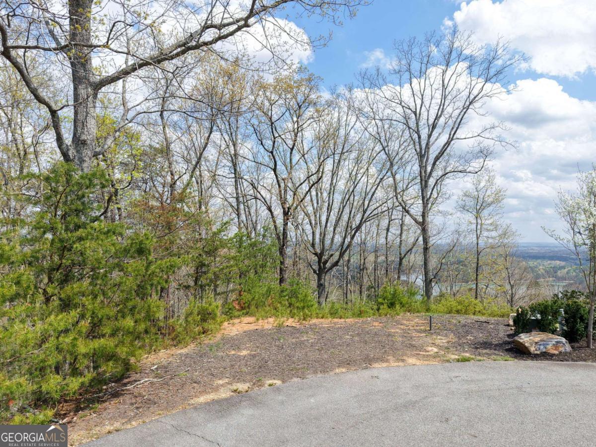 12 Signal Mountain Circle Cartersville GA 30121