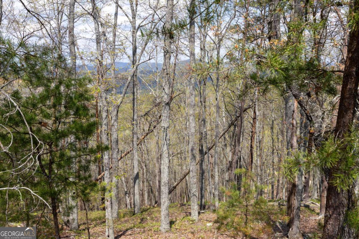 12 Signal Mountain Circle Cartersville GA 30121