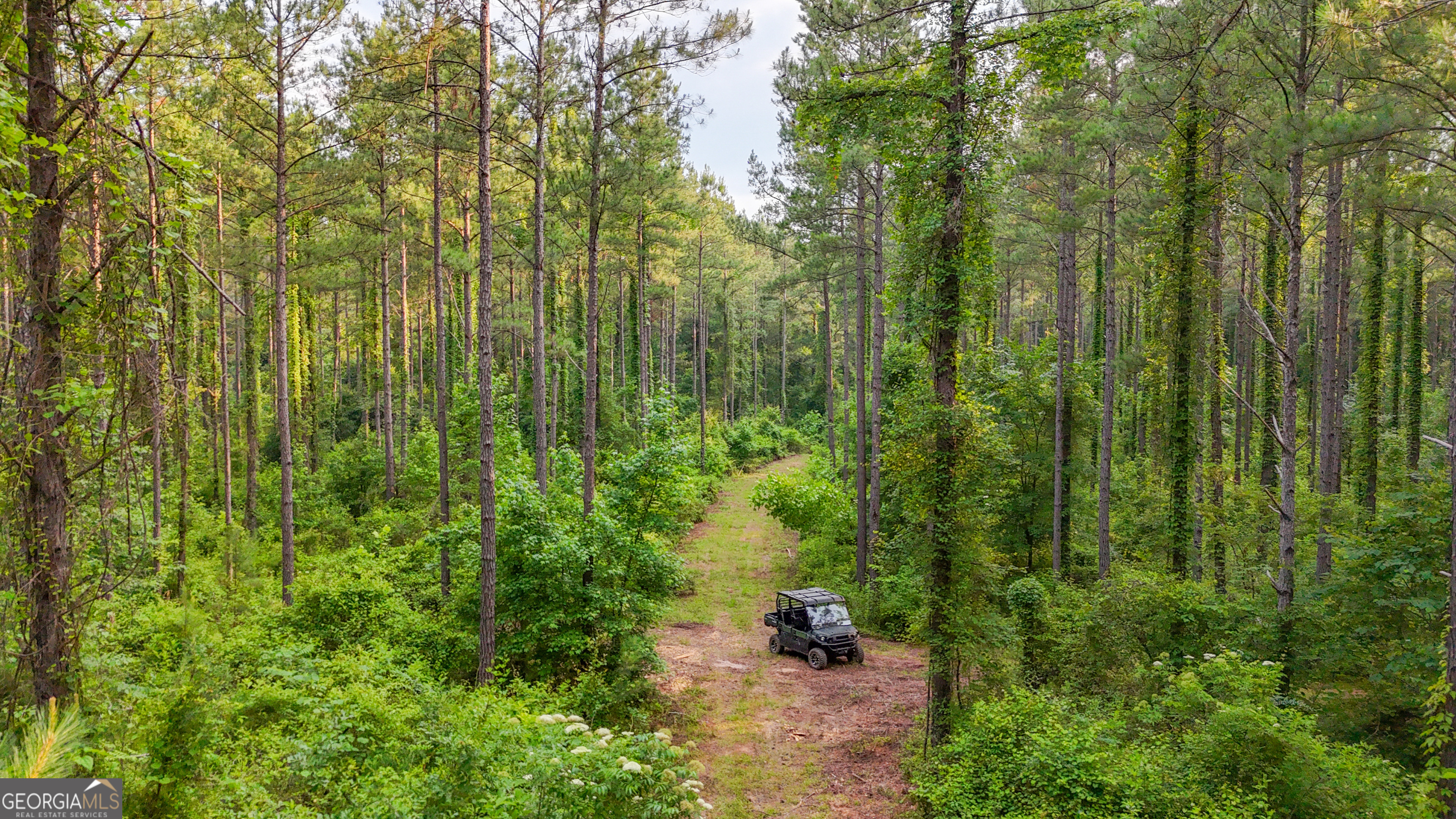 3644-3792 Fortune Hole Road Hamilton GA 31811