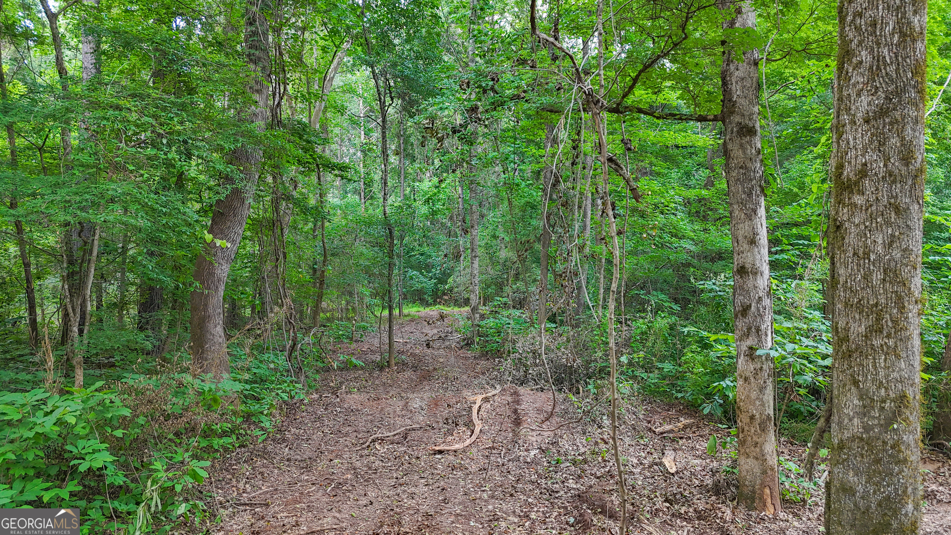 3644-3792 Fortune Hole Road Hamilton GA 31811