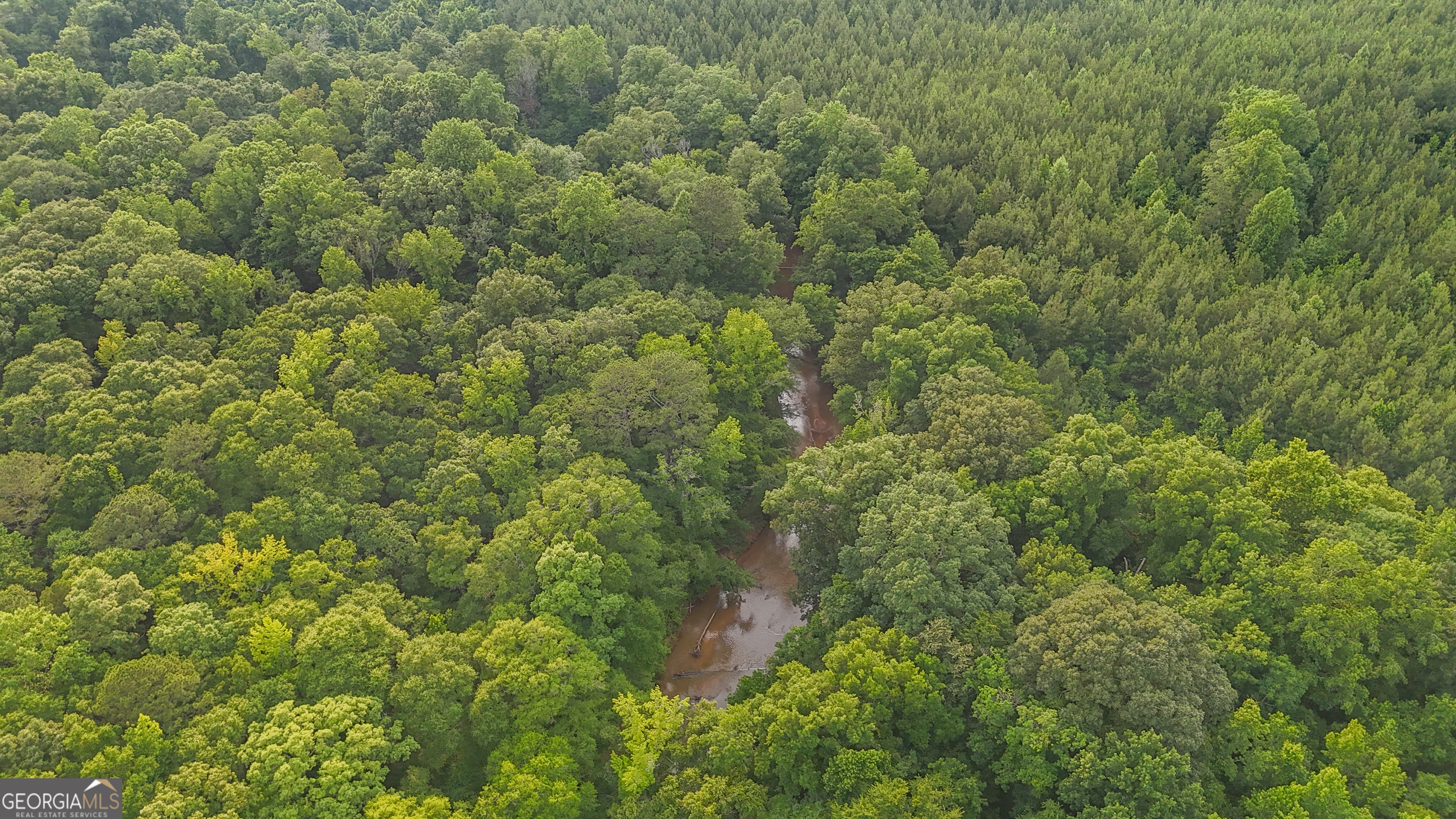 3644-3792 Fortune Hole Road Hamilton GA 31811