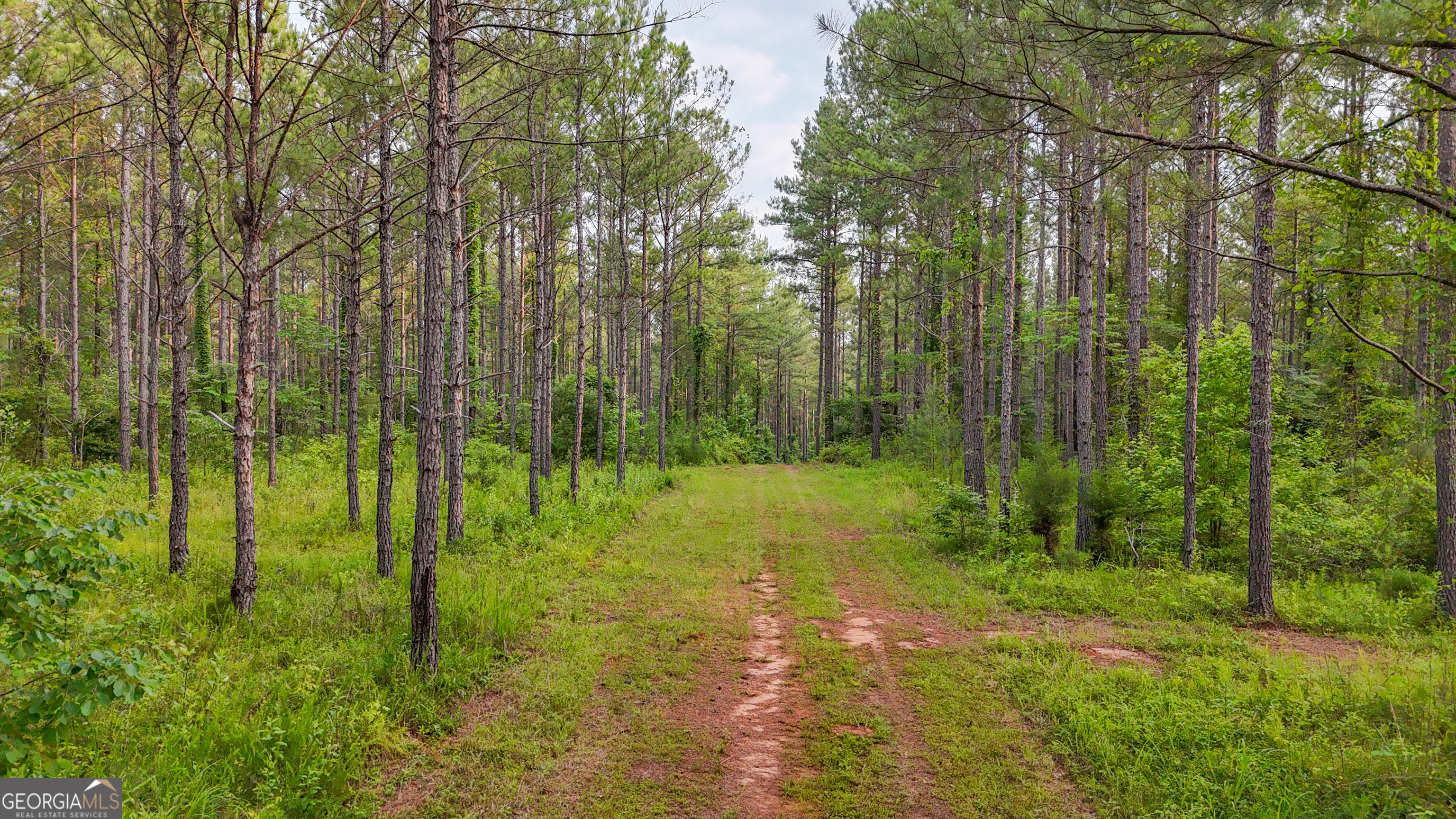 3644-3792 Fortune Hole Road Hamilton GA 31811