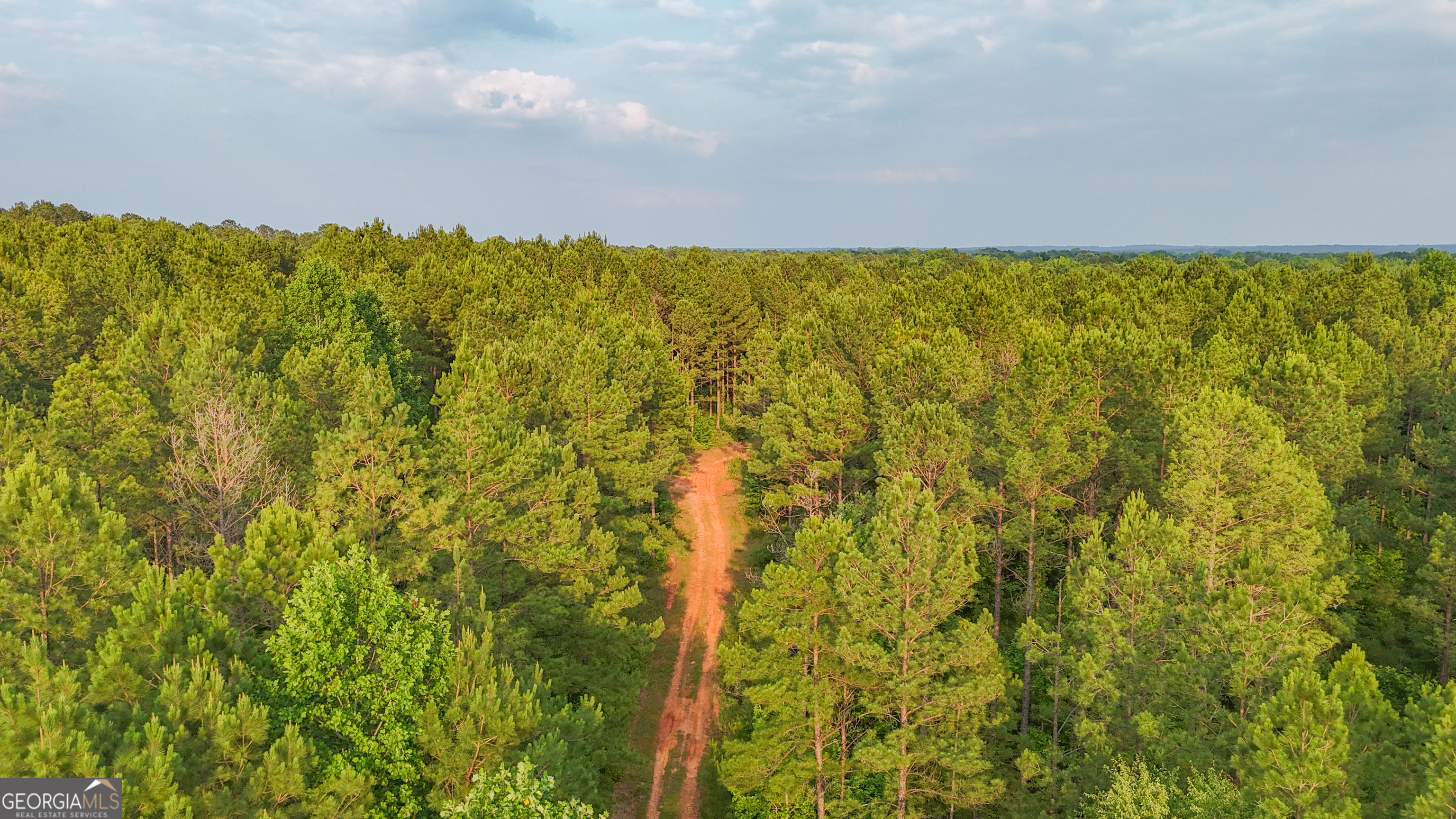3644-3792 Fortune Hole Road Hamilton GA 31811
